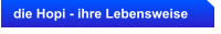 die Hopi - ihre Lebensweise
