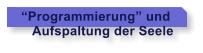 Programmierung und    Aufspaltung der Seele