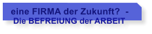 eine FIRMA der Zukunft?  -    Die BEFREIUNG der ARBEIT