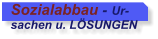 Sozialabbau - Ur- sachen u. LSUNGEN